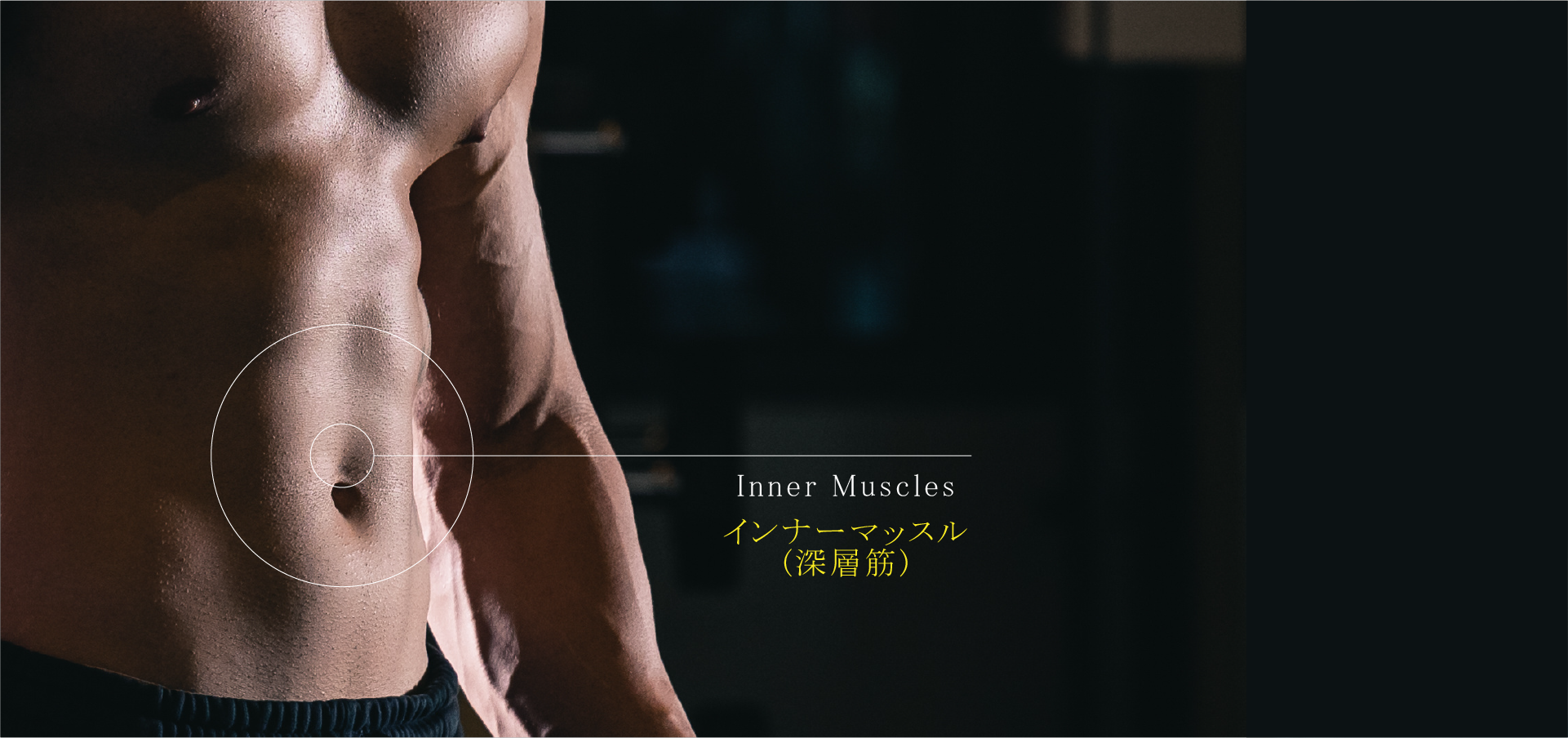 Muscle Background